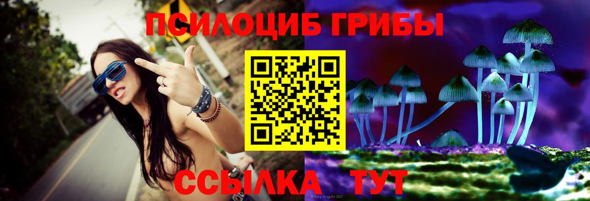 Прохладный  Псилоцибиновые грибы мицелий  Вход с VPN  где продают наркотики  Галлюциногенные грибы ЛСД 
