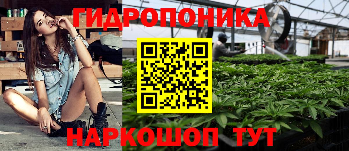 Бошки Шишки тримм Прохладный
